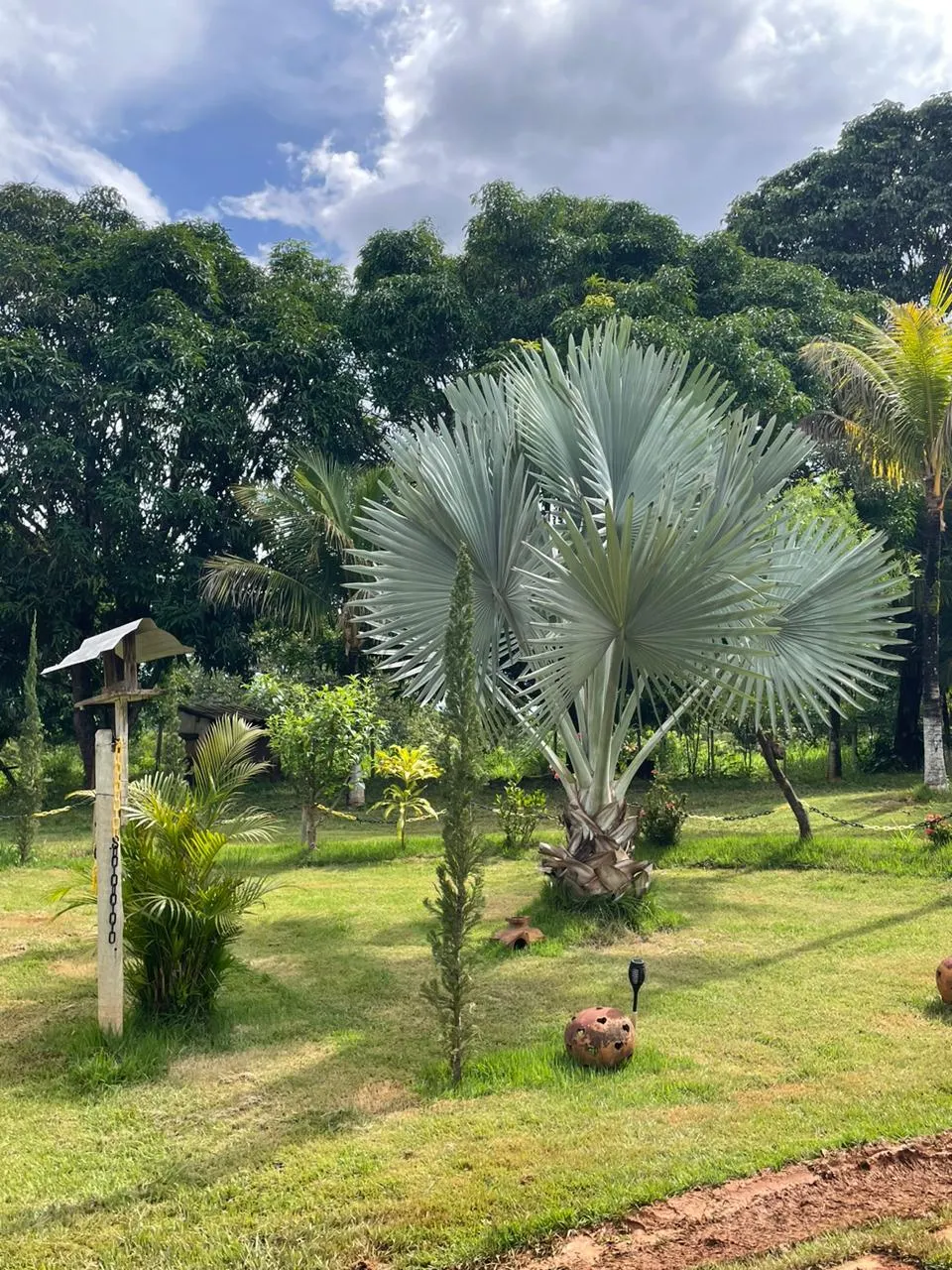 Sítio à venda de 13 ha em Formosa, GO, Brasil
