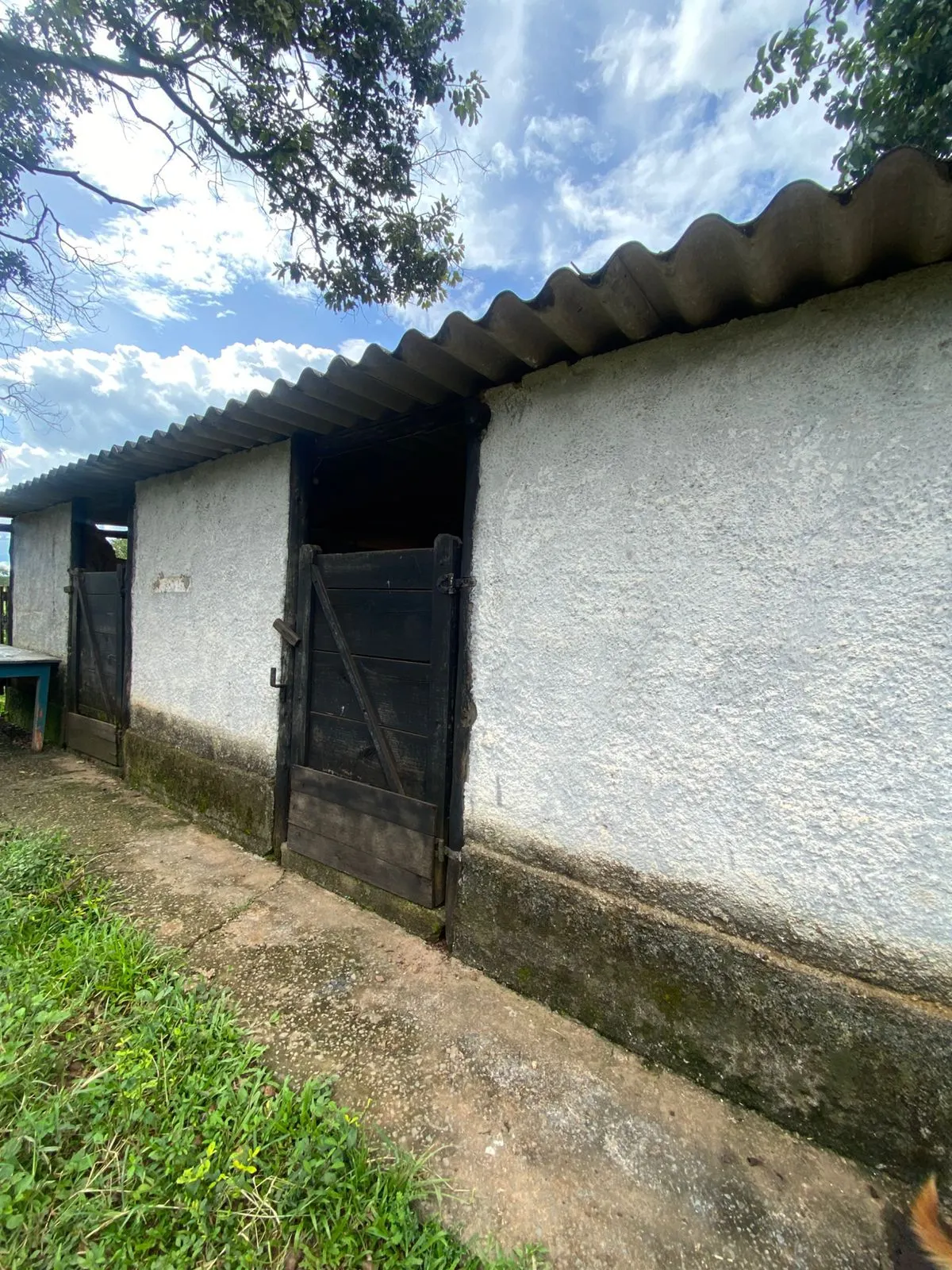 Sítio à venda de 13 ha em Formosa, GO, Brasil