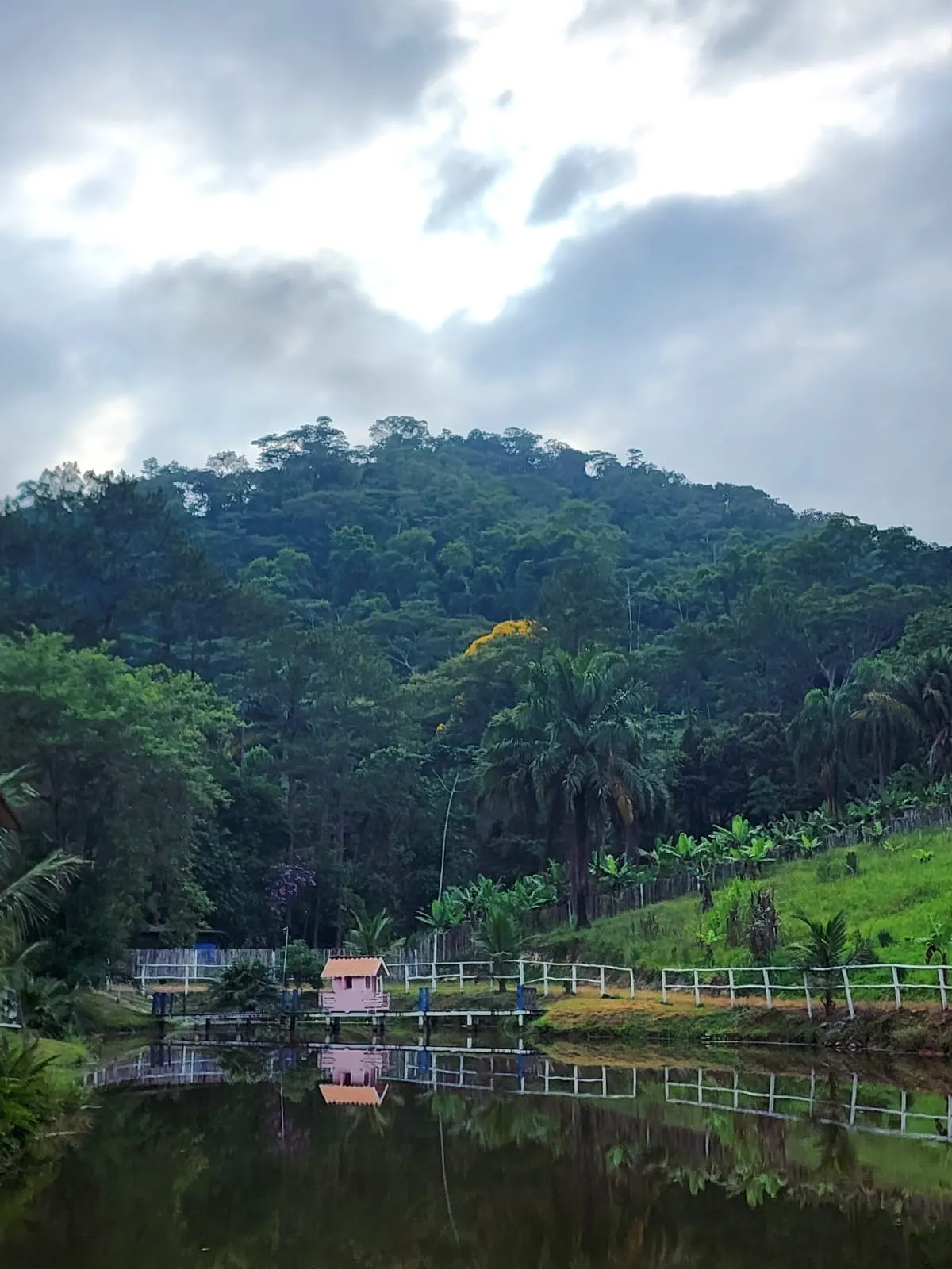 Sítio à venda de 57 ha em Miracatu, SP, Brasil