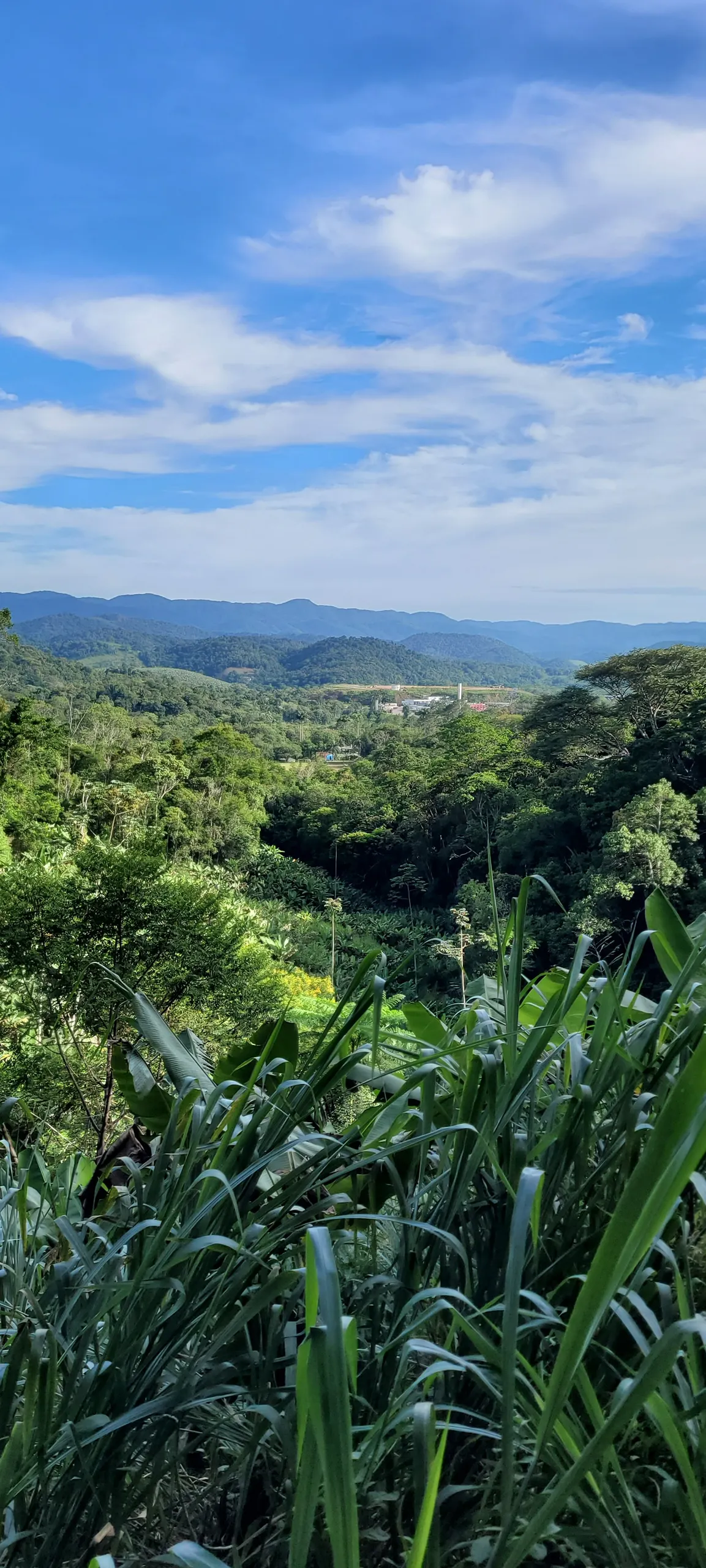 Sítio à venda de 57 ha em Miracatu, SP, Brasil