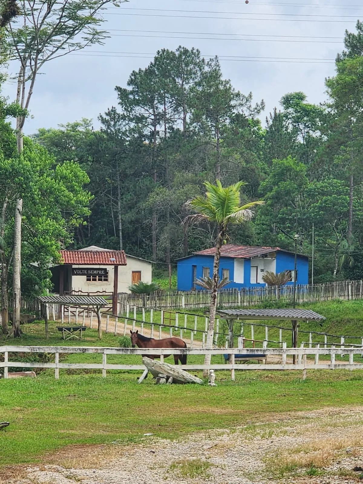 Sítio à venda de 57 ha em Miracatu, SP, Brasil