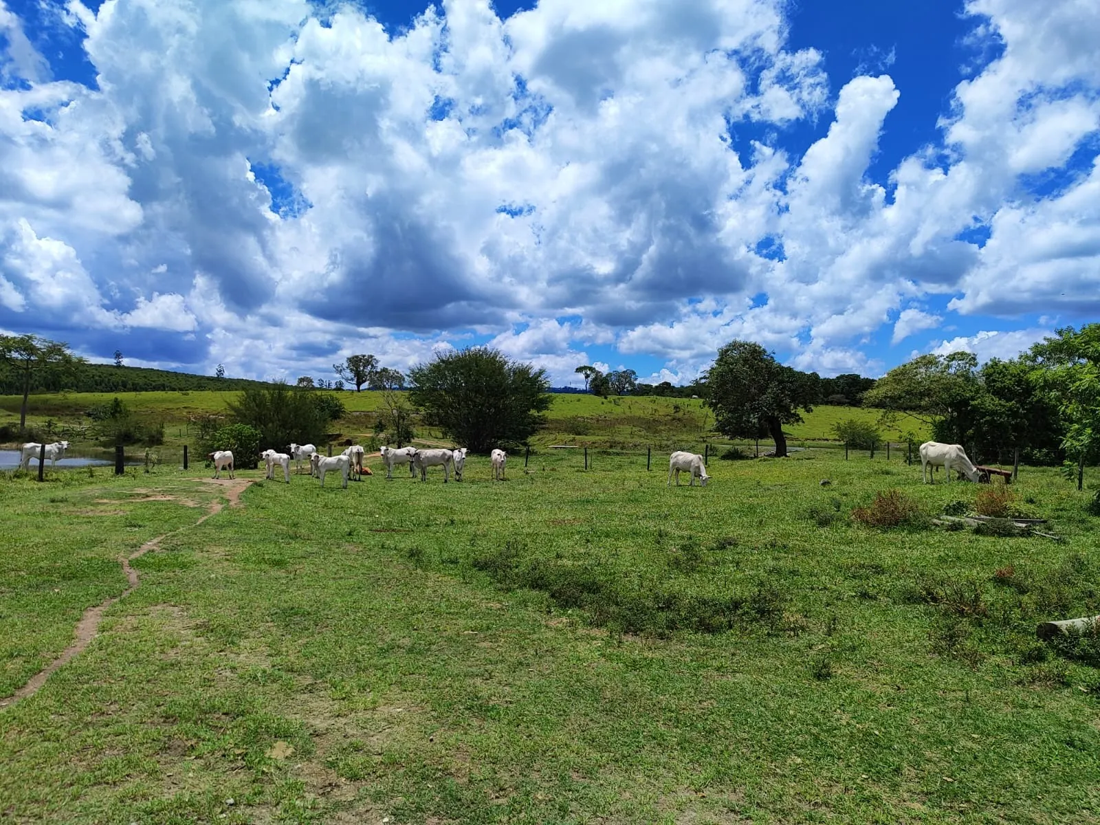 Fazenda à venda de 711 ha em Botucatu, SP, Brasil