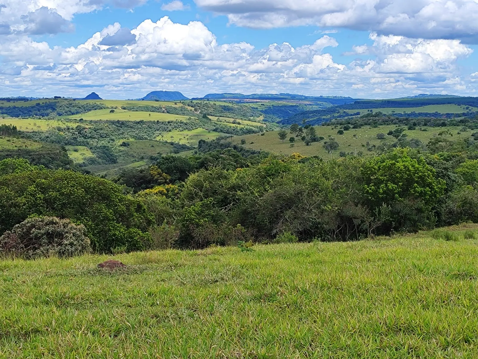 Fazenda à venda de 711 ha em Botucatu, SP, Brasil