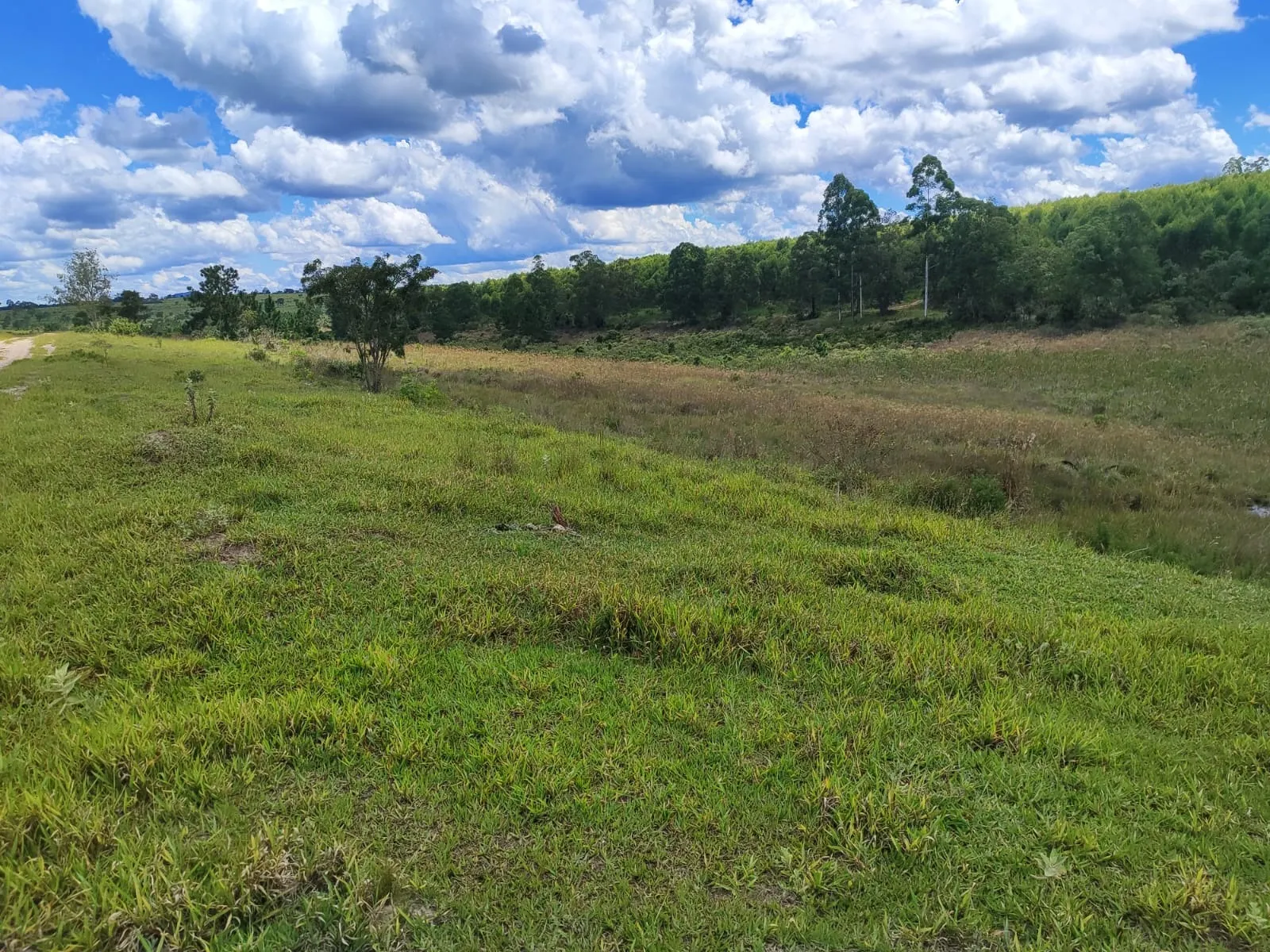 Fazenda à venda de 711 ha em Botucatu, SP, Brasil