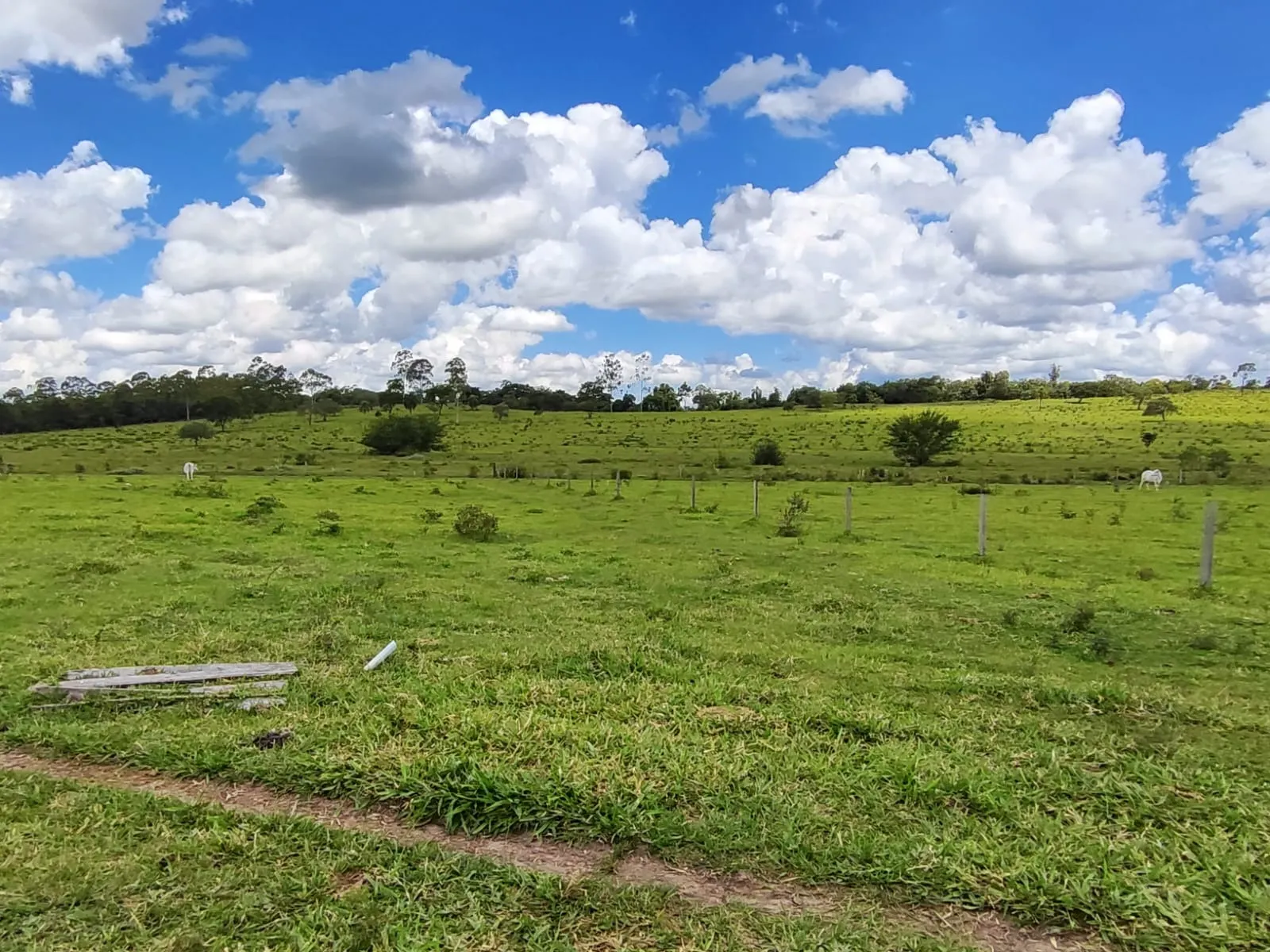 Fazenda à venda de 711 ha em Botucatu, SP, Brasil