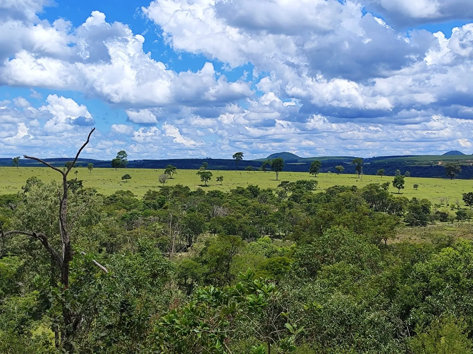 Fazenda à venda de 711 ha em Botucatu, SP, Brasil