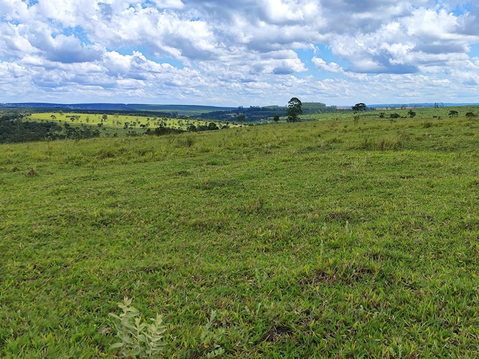 Fazenda à venda de 711 ha em Botucatu, SP, Brasil