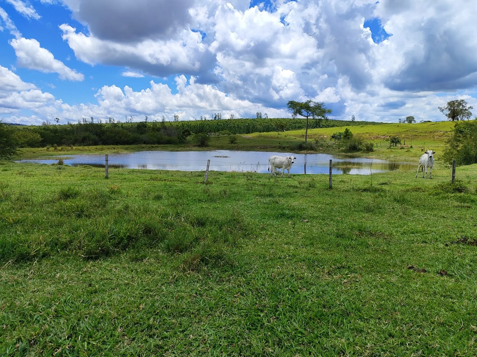 Fazenda à venda de 711 ha em Botucatu, SP, Brasil