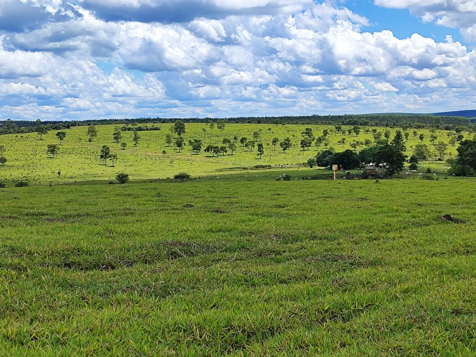 Fazenda à venda de 711 ha em Botucatu, SP, Brasil