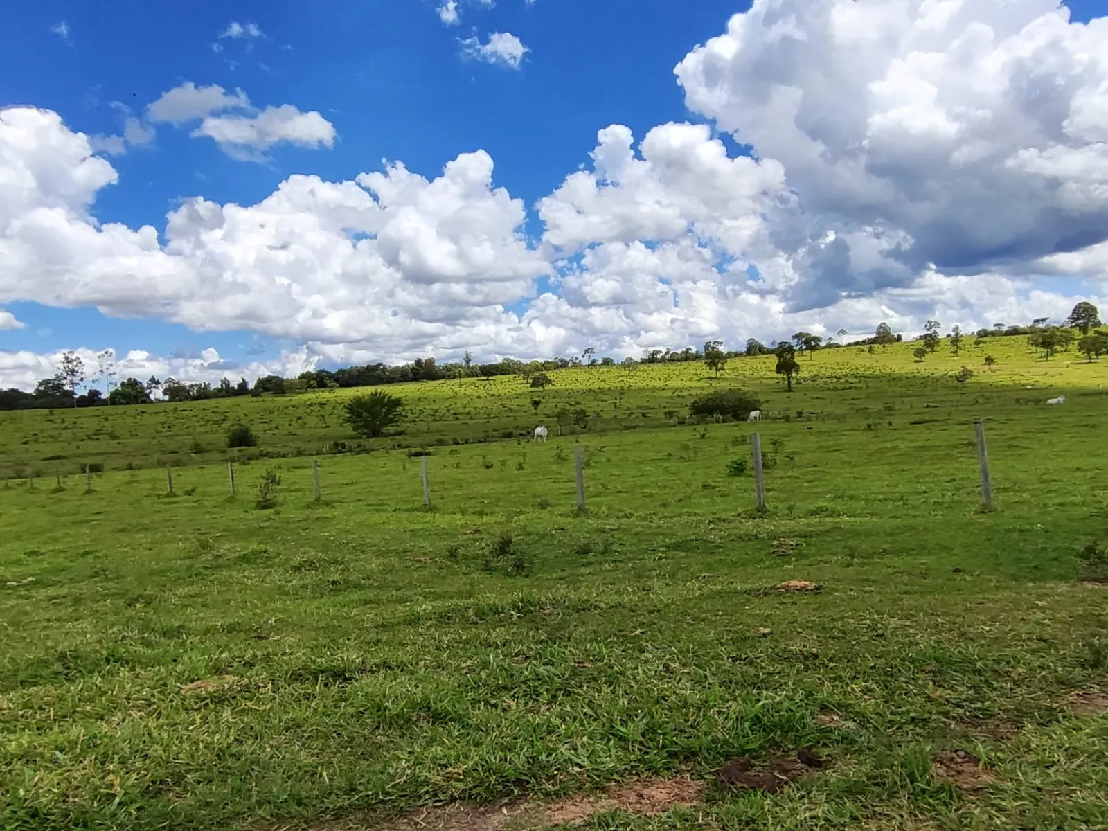 Fazenda à venda de 711 ha em Botucatu, SP, Brasil