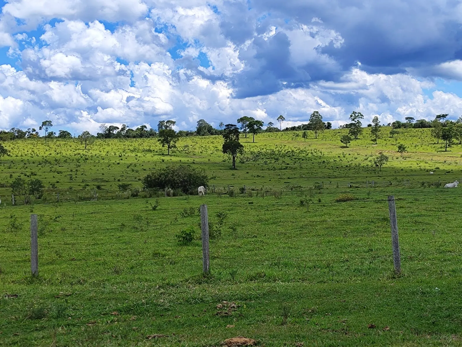 Fazenda à venda de 711 ha em Botucatu, SP, Brasil