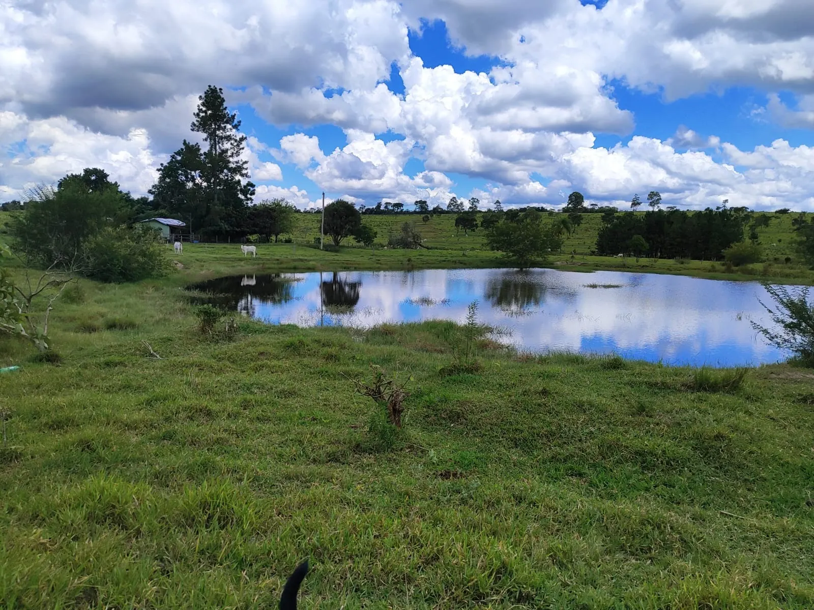 Fazenda à venda de 711 ha em Botucatu, SP, Brasil