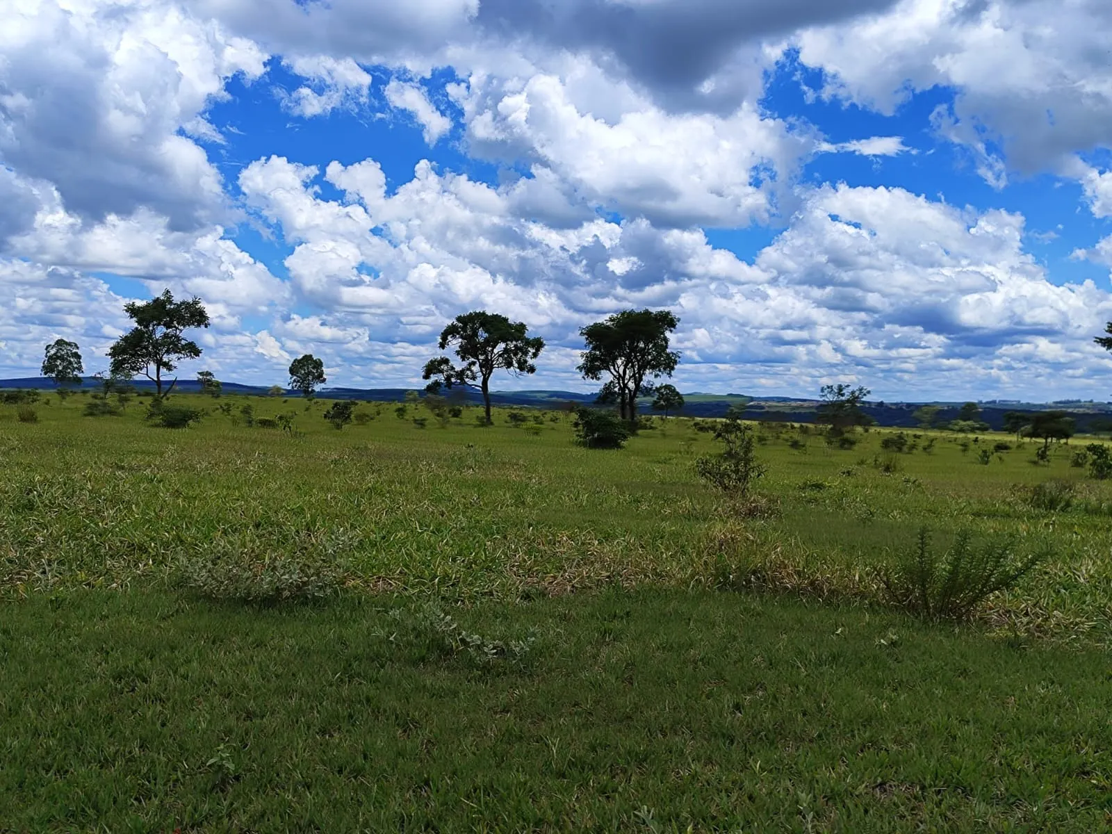Fazenda à venda de 711 ha em Botucatu, SP, Brasil