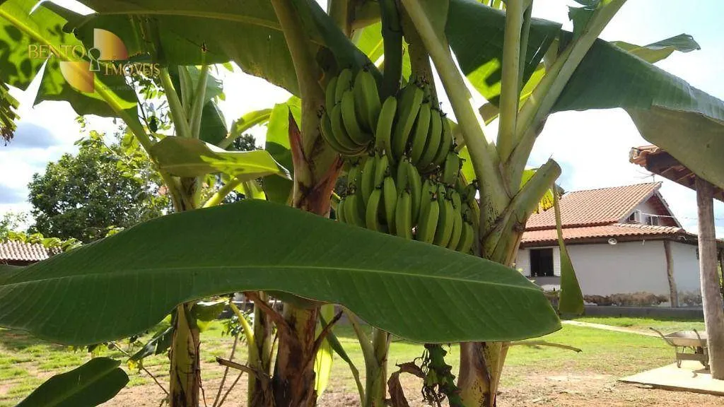 Chácara à venda de 10 ha em Chapada dos Guimarães, MT, Brasil