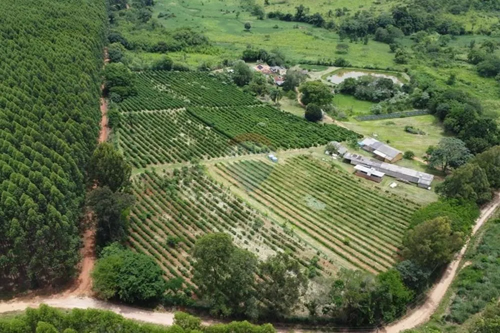 Sítio à venda de 5 ha em Serra Negra, SP, Brasil
