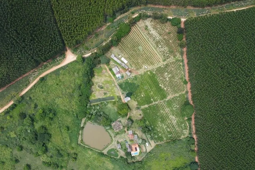 Sítio à venda de 5 ha em Serra Negra, SP, Brasil