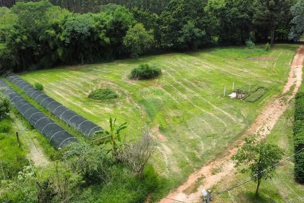 Sítio à venda de 5 ha em Serra Negra, SP, Brasil