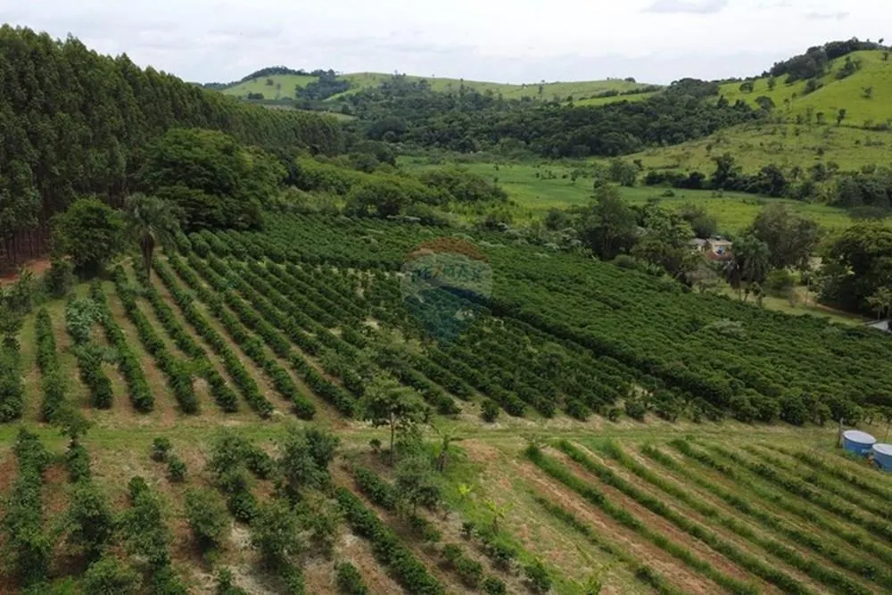Sítio à venda de 5 ha em Serra Negra, SP, Brasil