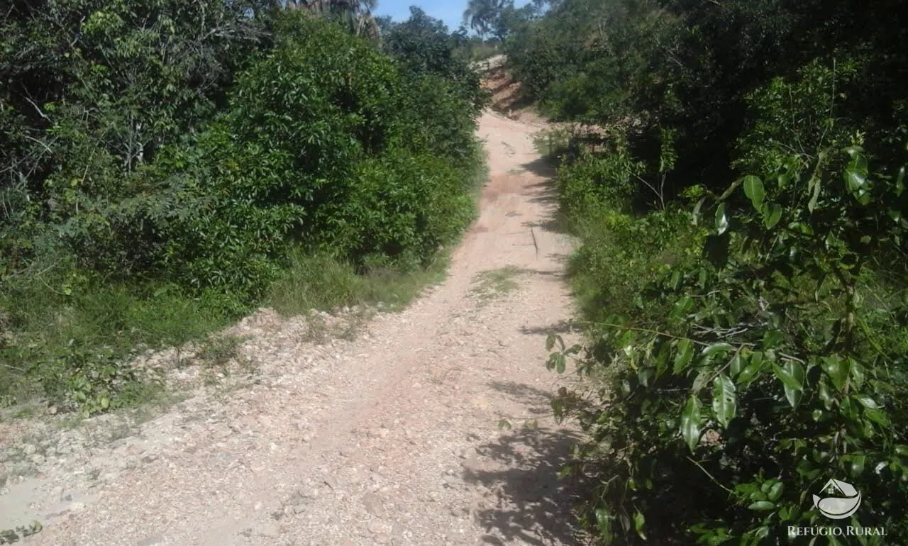 Fazenda à venda de 909 ha em Lizarda, TO, Brasil