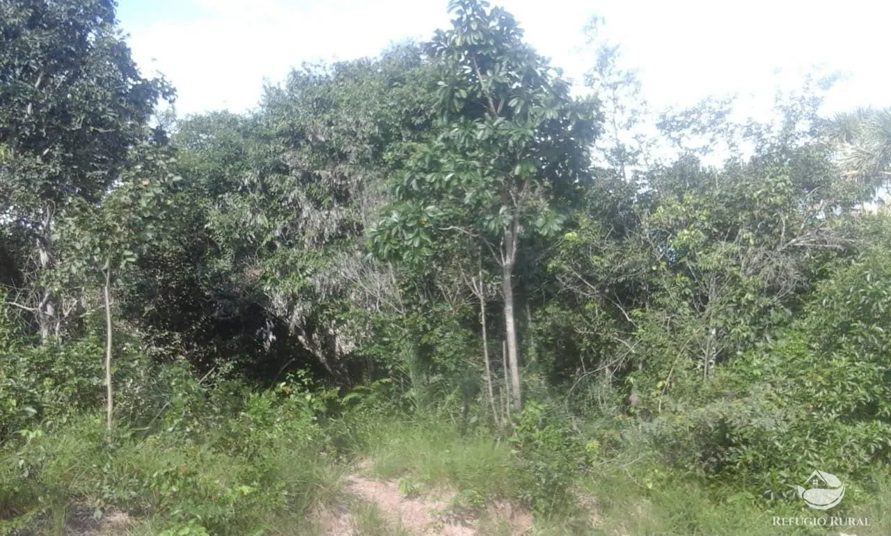 Fazenda à venda de 909 ha em Lizarda, TO, Brasil