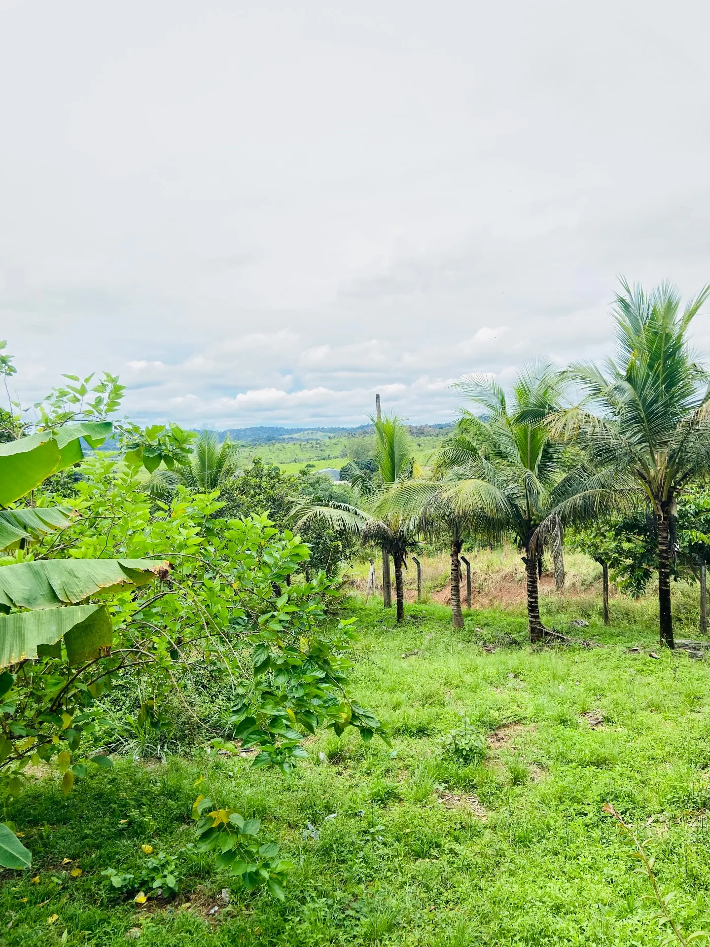 Chácara à venda de 100 m² em Novo Progresso, PA, Brasil