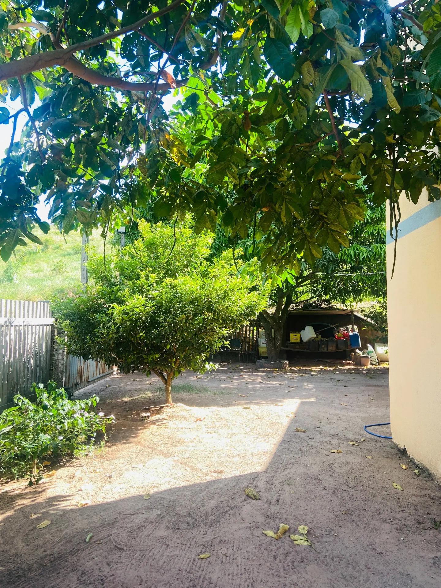 Chácara à venda de 100 m² em Novo Progresso, PA, Brasil