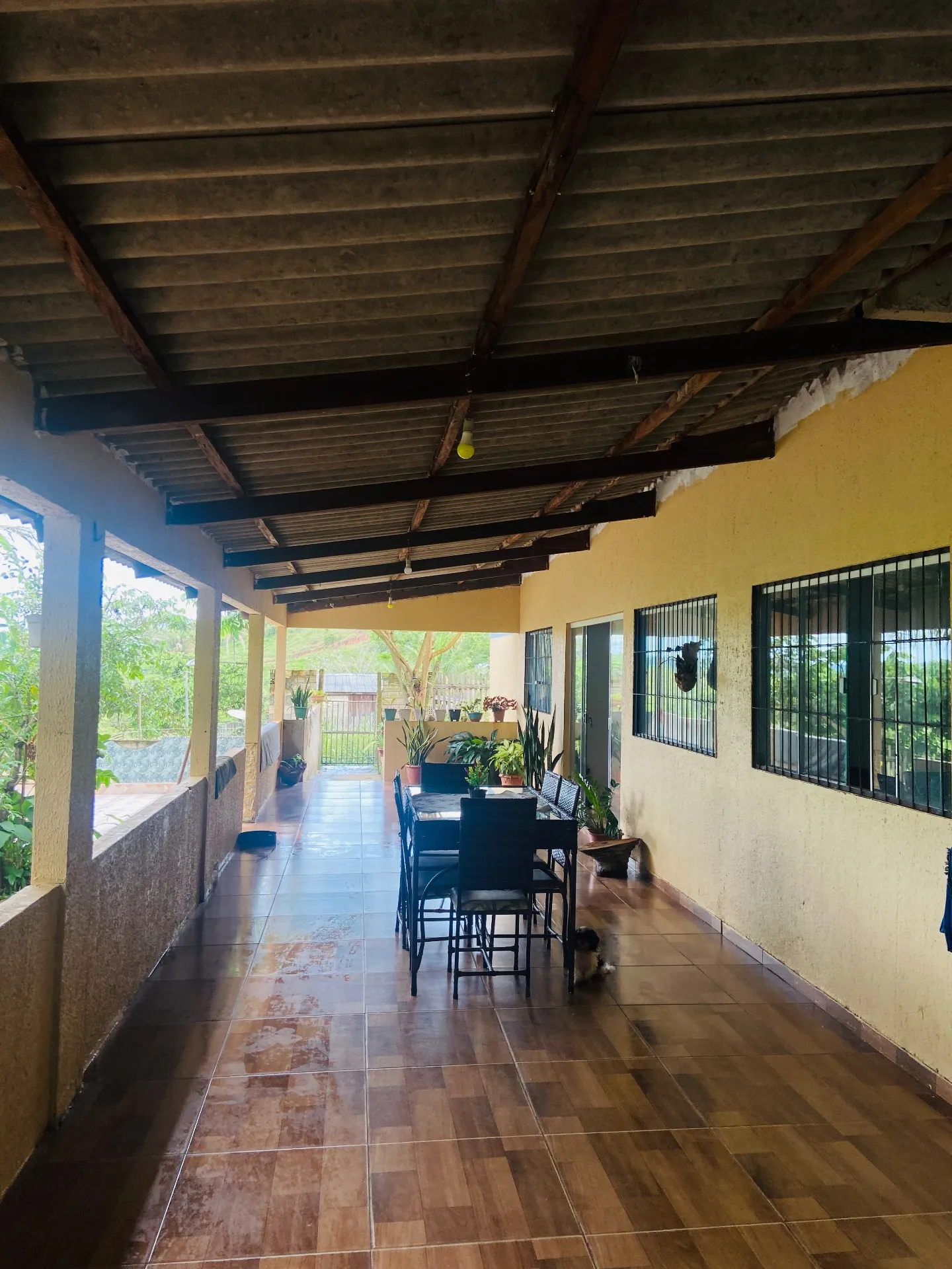 Chácara à venda de 100 m² em Novo Progresso, PA, Brasil