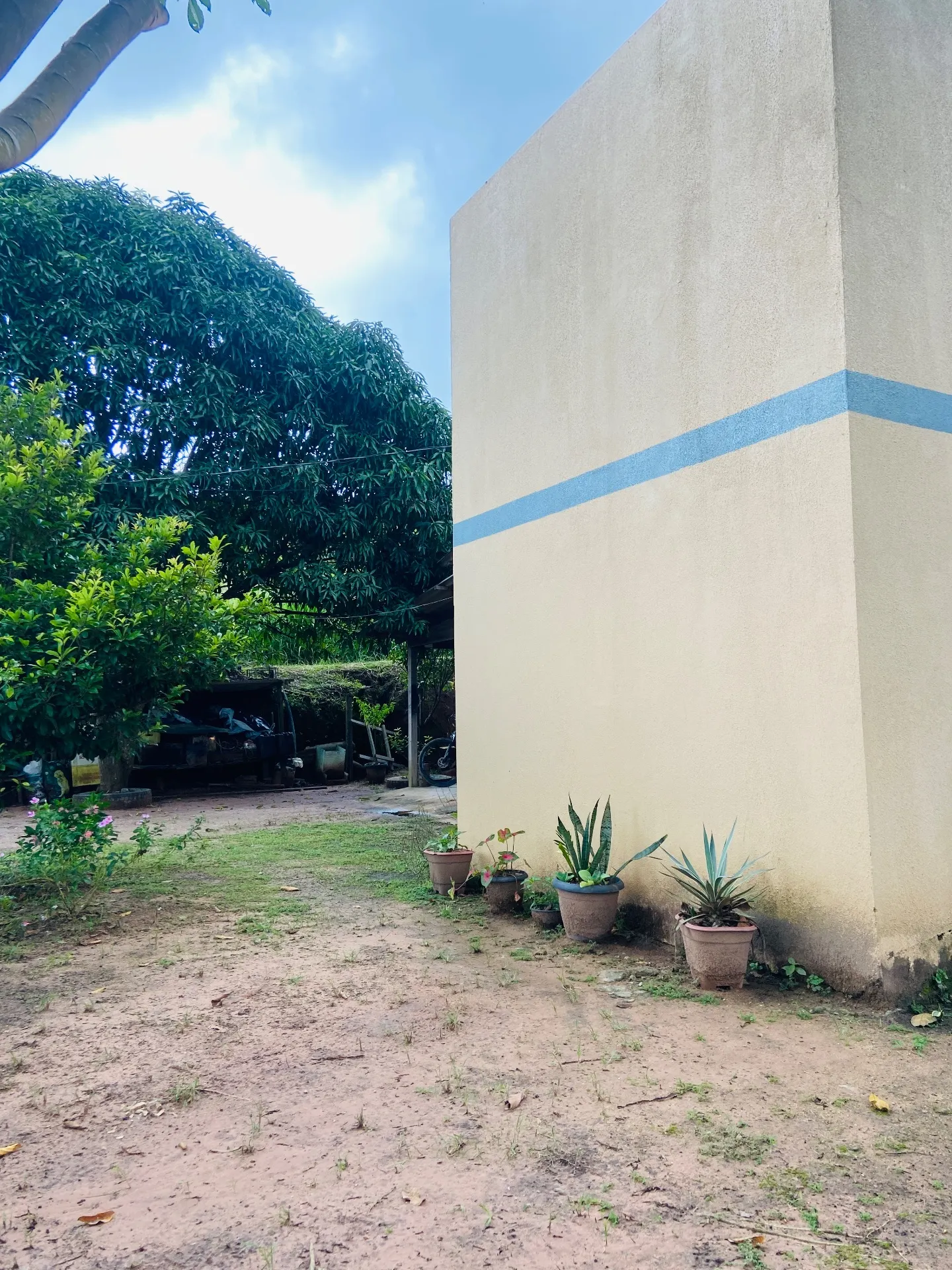 Chácara à venda de 100 m² em Novo Progresso, PA, Brasil