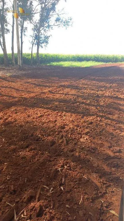 Fazenda à venda de 3.103 ha em Campo Novo do Parecis, MT, Brasil