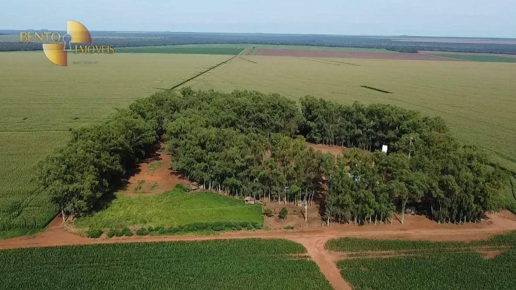 Fazenda à venda de 3.103 ha em Campo Novo do Parecis, MT, Brasil