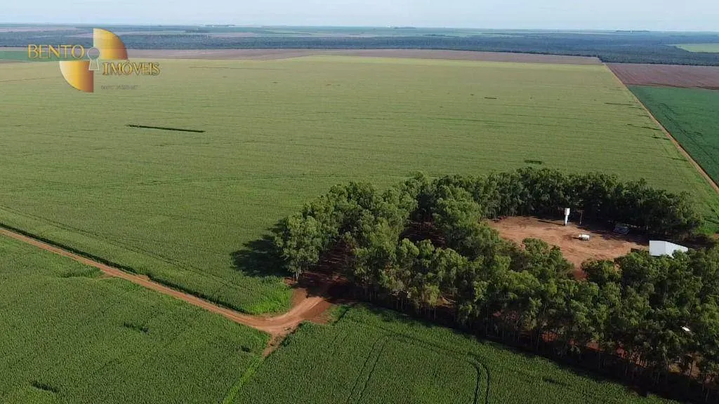 Fazenda à venda de 3.103 ha em Campo Novo do Parecis, MT, Brasil