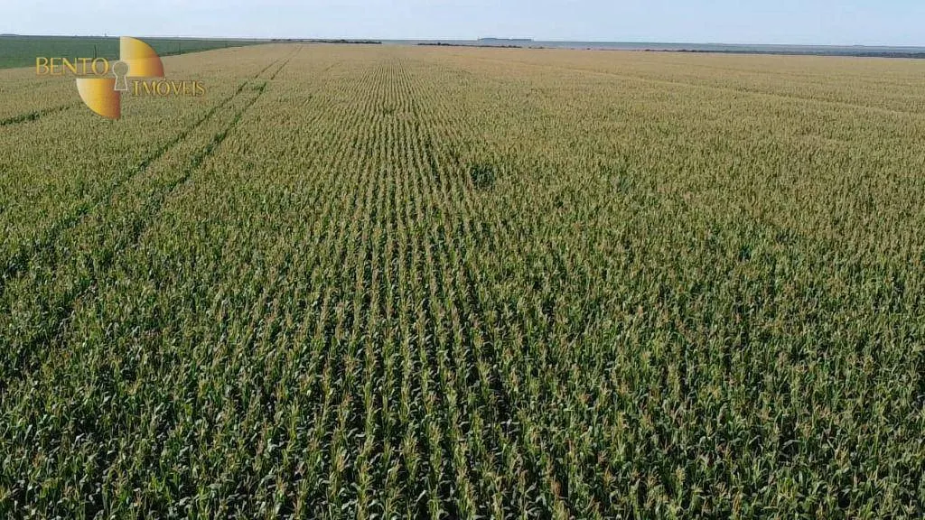 Fazenda à venda de 3.103 ha em Campo Novo do Parecis, MT, Brasil