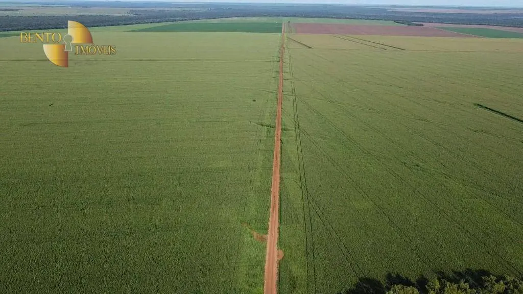 Fazenda à venda de 3.103 ha em Campo Novo do Parecis, MT, Brasil