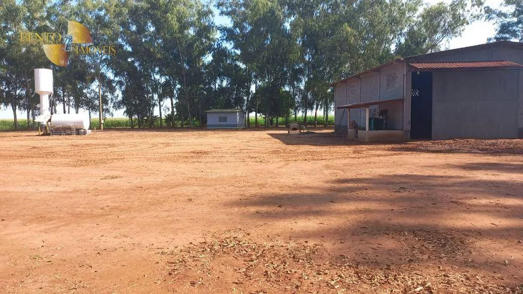 Fazenda à venda de 3.103 ha em Campo Novo do Parecis, MT, Brasil