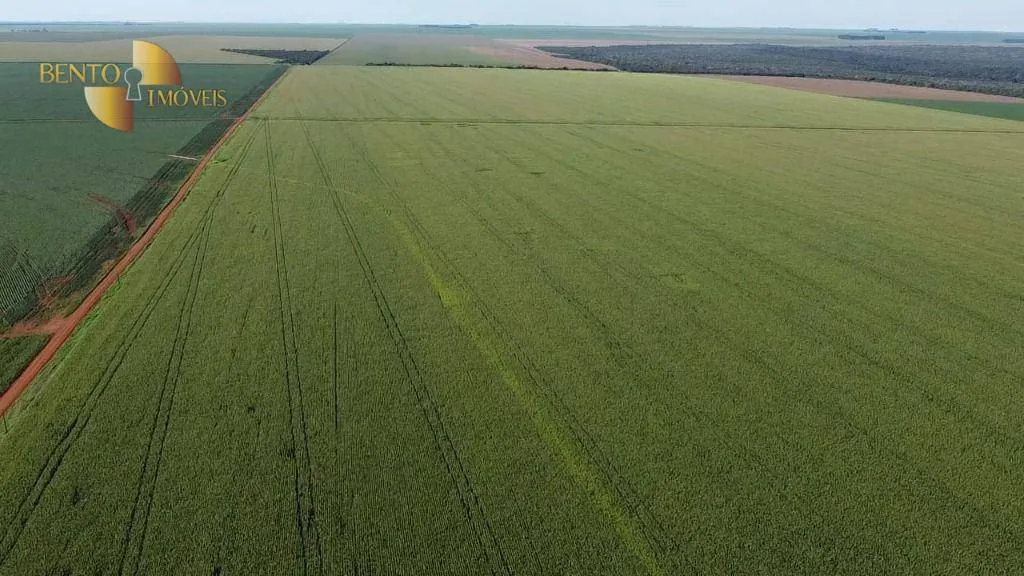 Fazenda à venda de 3.103 ha em Campo Novo do Parecis, MT, Brasil