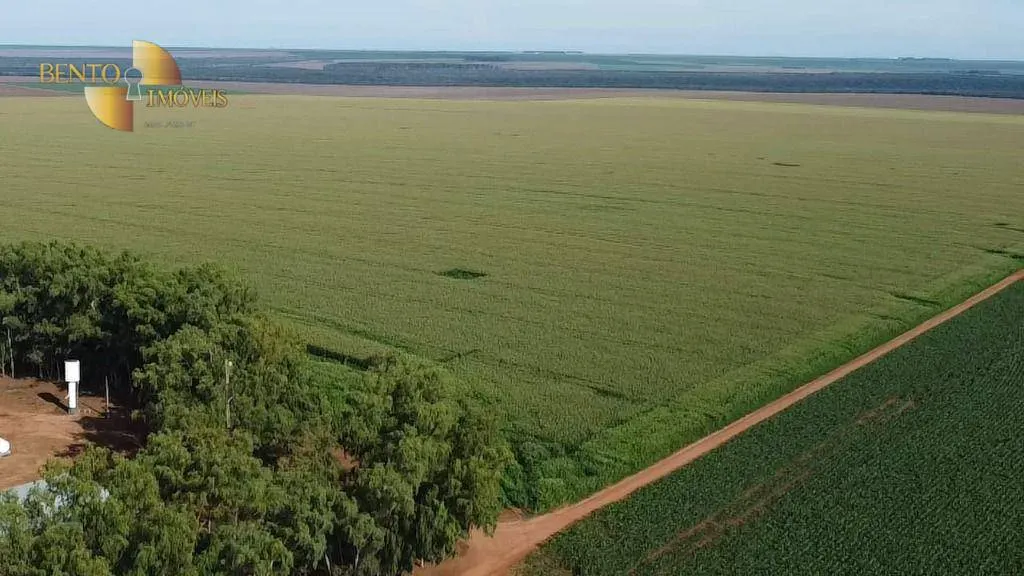 Fazenda à venda de 3.103 ha em Campo Novo do Parecis, MT, Brasil