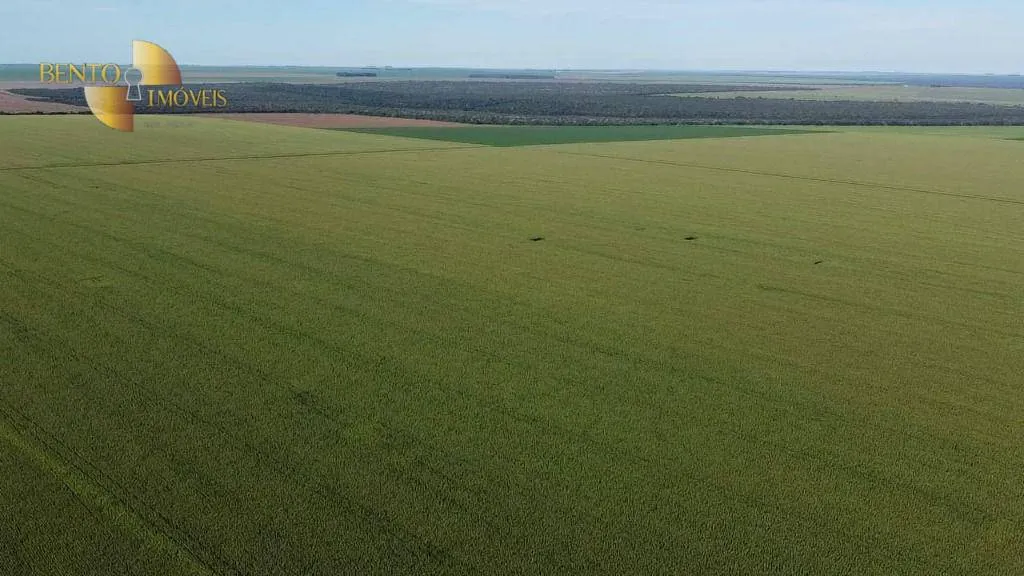 Fazenda à venda de 3.103 ha em Campo Novo do Parecis, MT, Brasil