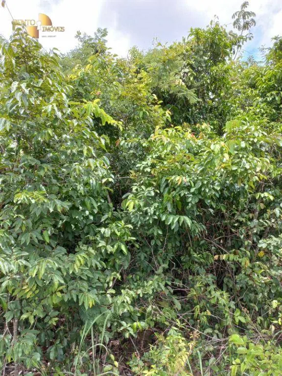 Fazenda à venda de 322 ha em Nova Brasilândia, MT, Brasil