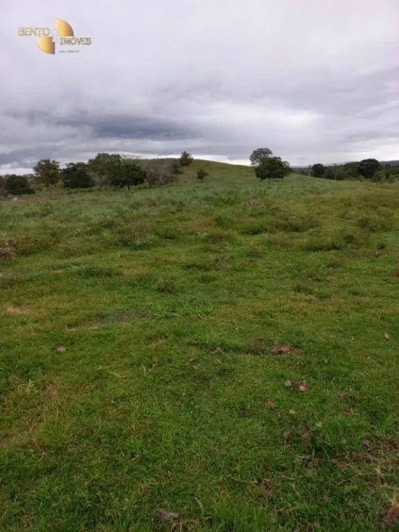 Fazenda à venda de 322 ha em Nova Brasilândia, MT, Brasil
