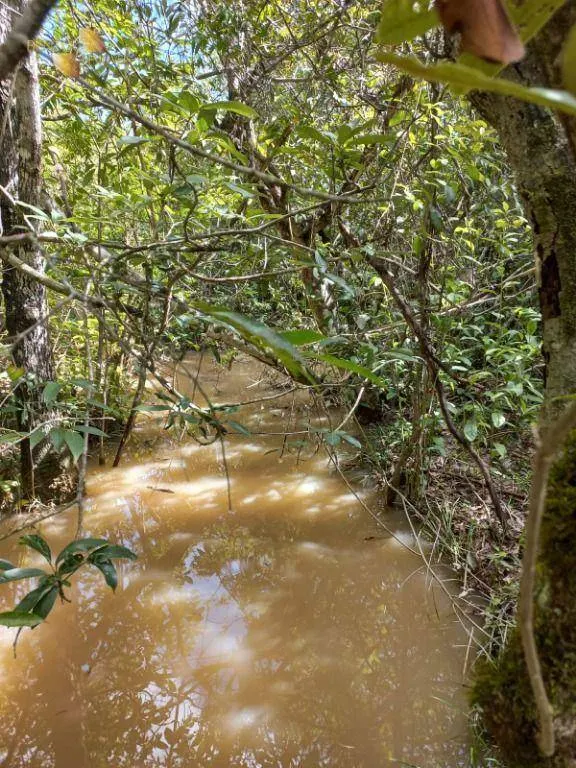 Fazenda à venda de 322 ha em Nova Brasilândia, MT, Brasil