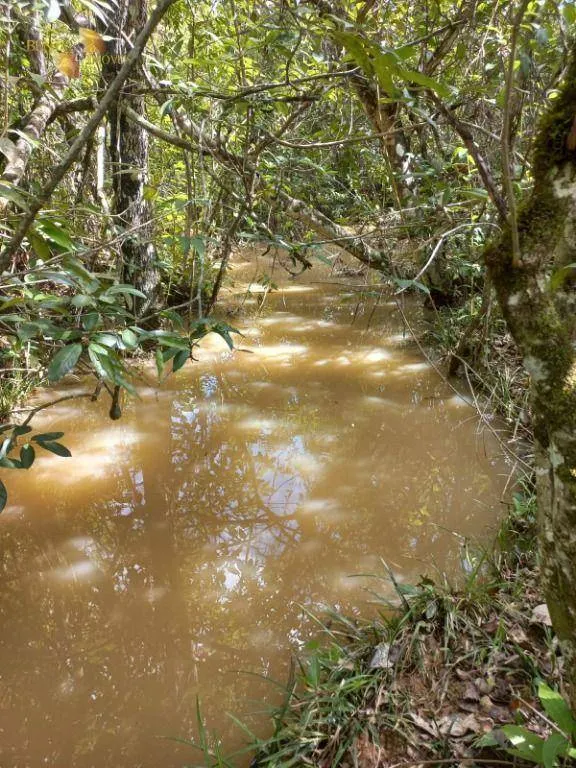 Fazenda à venda de 322 ha em Nova Brasilândia, MT, Brasil