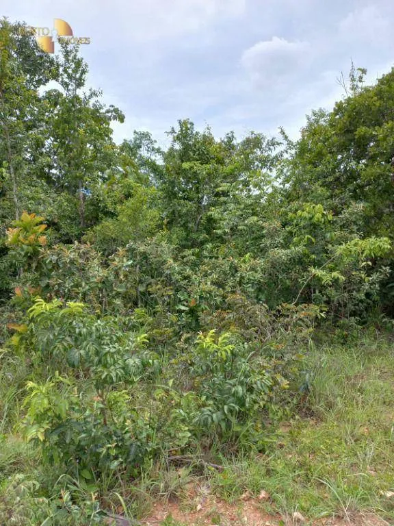 Fazenda à venda de 322 ha em Nova Brasilândia, MT, Brasil
