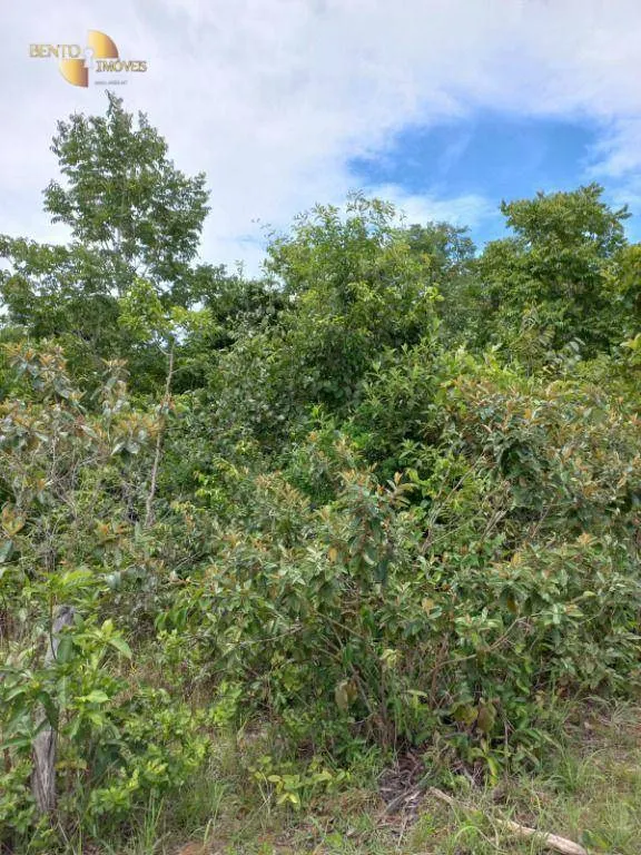 Fazenda à venda de 322 ha em Nova Brasilândia, MT, Brasil
