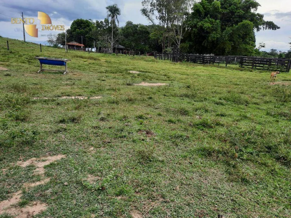 Fazenda à venda de 322 ha em Nova Brasilândia, MT, Brasil