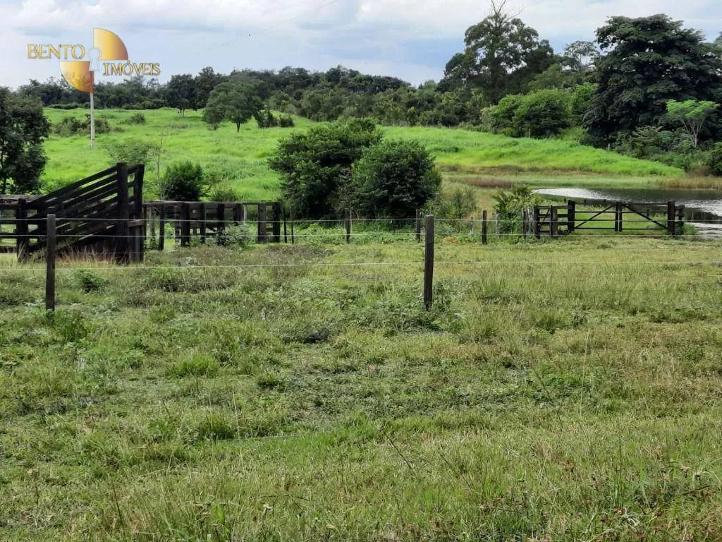 Fazenda à venda de 322 ha em Nova Brasilândia, MT, Brasil