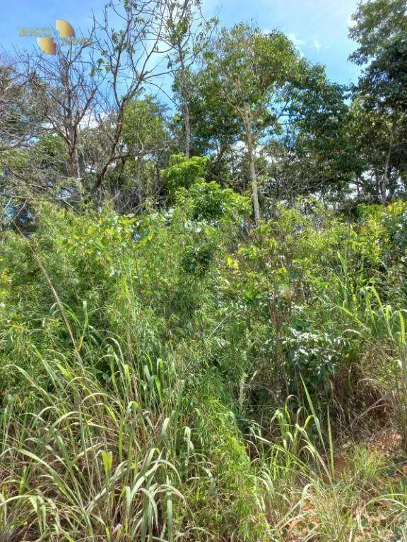Fazenda à venda de 322 ha em Nova Brasilândia, MT, Brasil