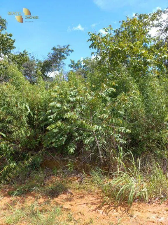 Fazenda à venda de 322 ha em Nova Brasilândia, MT, Brasil
