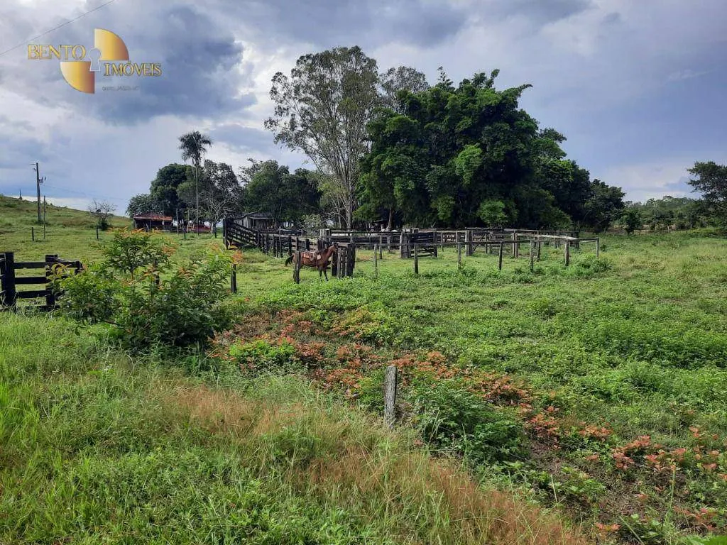 Fazenda à venda de 322 ha em Nova Brasilândia, MT, Brasil