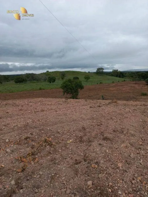 Fazenda à venda de 322 ha em Nova Brasilândia, MT, Brasil