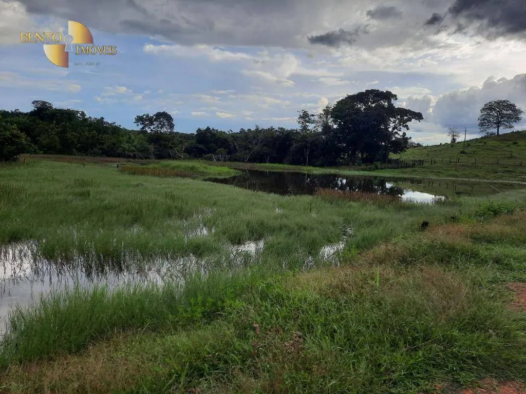 Fazenda à venda de 322 ha em Nova Brasilândia, MT, Brasil